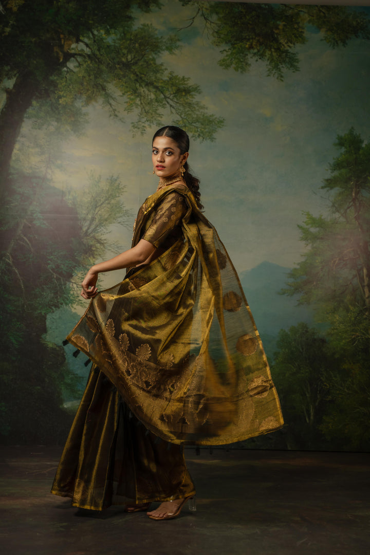 Golden Tissue Saree with Motif Border