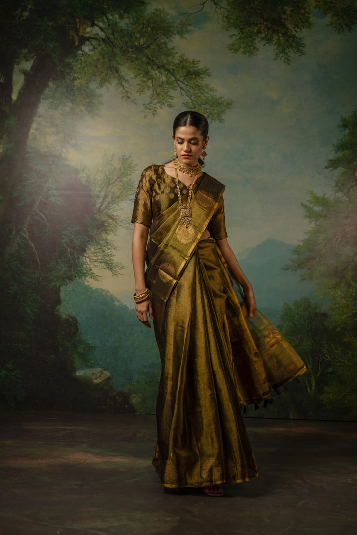 Golden Tissue Saree with Motif Border