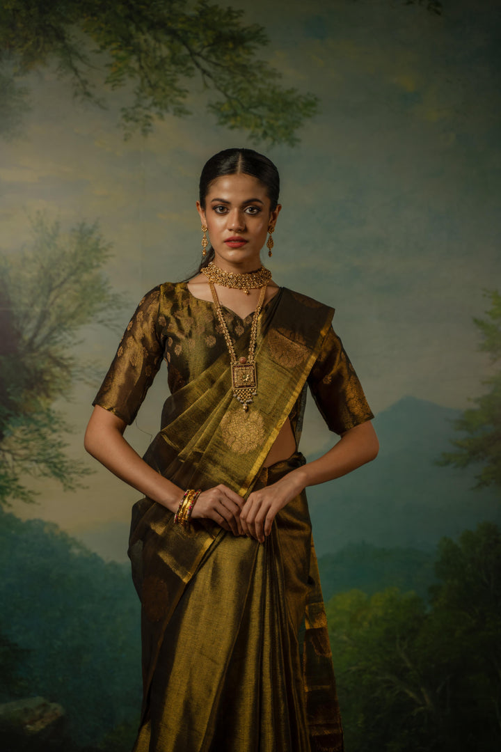 Golden Tissue Saree with Motif Border